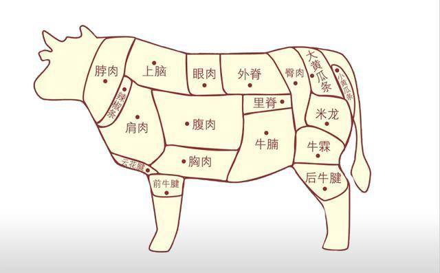 炖牛肉买牛肉哪个部位最好?