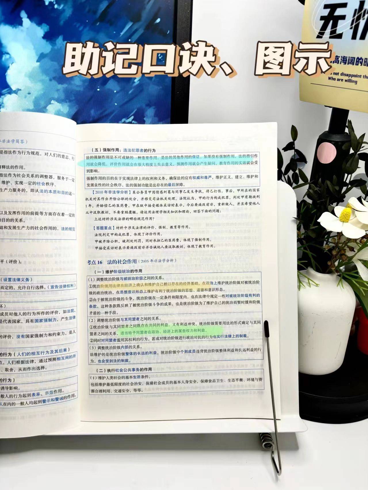 法的规范作用与社会作用的关系-法硕5轮背诵