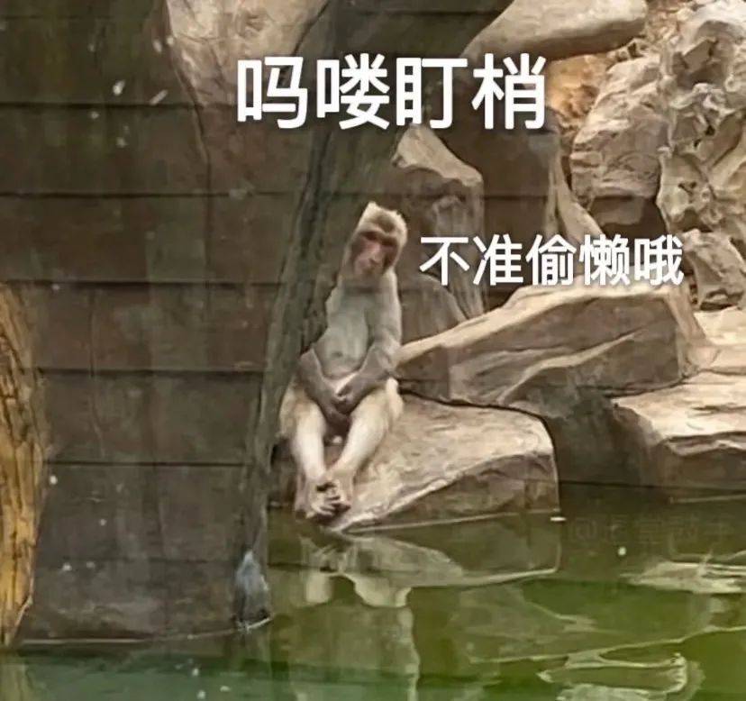 北大发布教学视频54万人点赞收藏，评论区：以后我就是北大毕业（网课版）