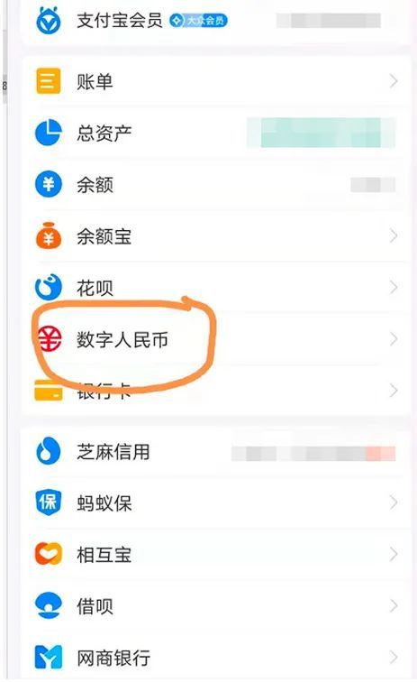 支付宝中的数字人民币(支付宝中的数字人民币怎么没有交费功能呢?)