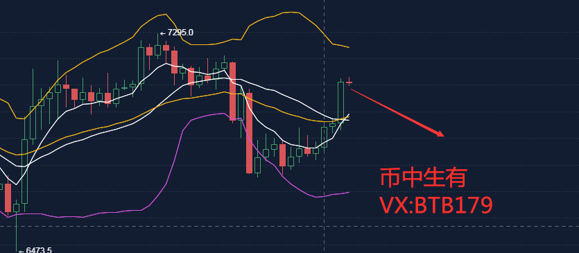 中币有风险(中币网有风险吗)