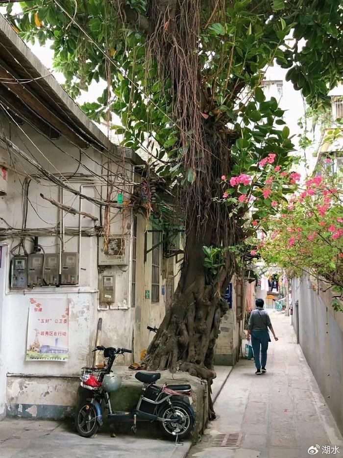 海珠中路中圆邮币市场(广州中圆邮票钱币收藏市场)