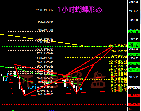 中金霍尔币(霍金币swh行情)