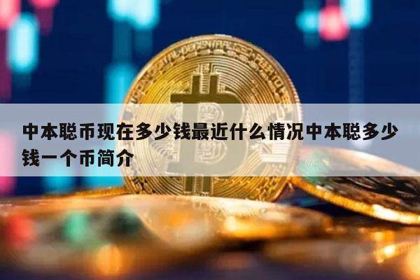 中本聪可以控制比特币(中本聪创造比特币的初衷)