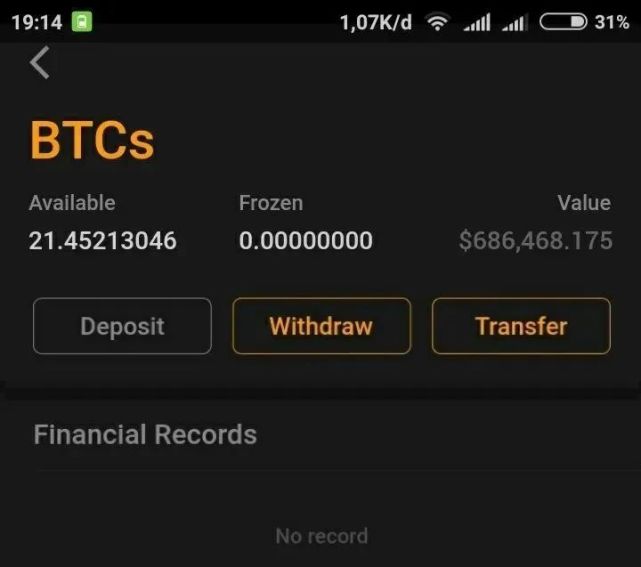 btcs中本聪币价格(btcs中本聪币21亿枚)