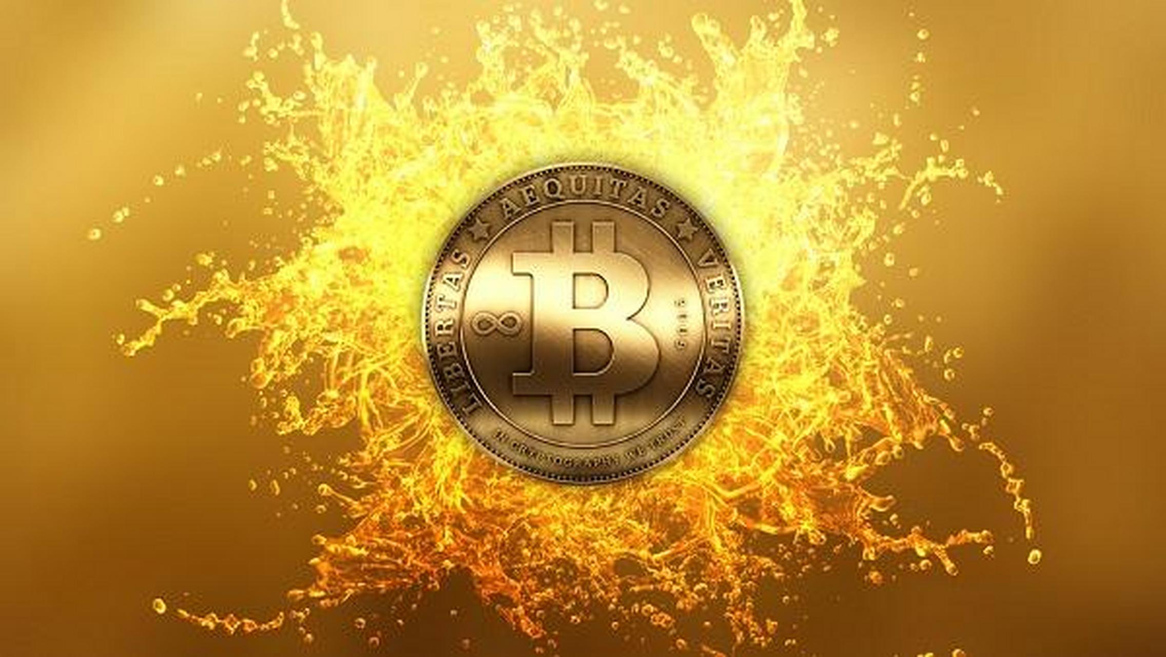 中币网app(中币网app官网下载)